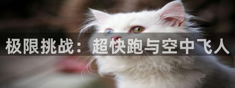ug环球官网