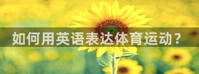 ug环球官网