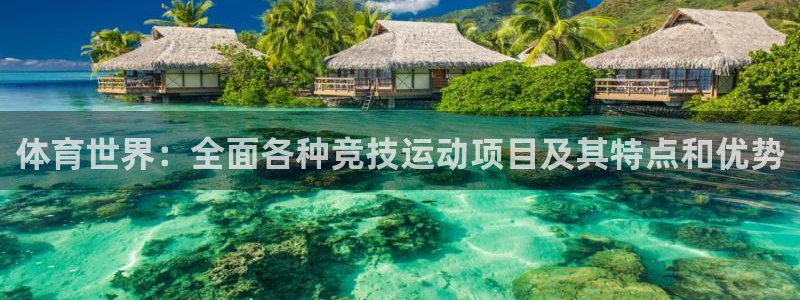 ug环球官网：体育世界：全面各种竞技运动项目及其特点和优势