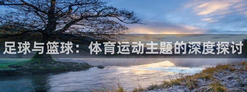 ug环球官网：足球与篮球：体育运动主题的深度探讨