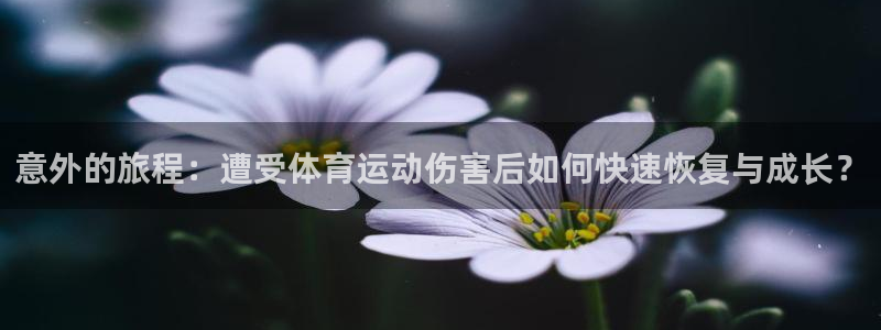 菲律宾ug环球官网：意外的旅程：遭受体育运动伤害后如何快速恢复与成长？