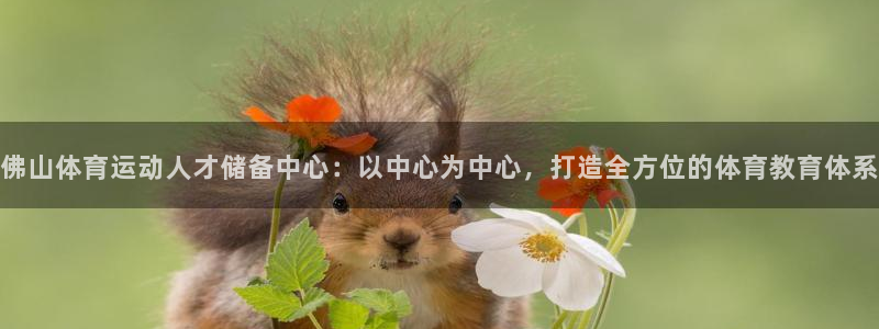 菲律宾ug环球官网：佛山体育运动人才储备中心：以中心为中心，打造全方位的体育教育体系