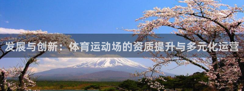 菲律宾ug环球官网：发展与创新：体育运动场的资质提升与多元化运营